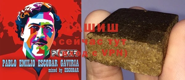 хмурый Абаза